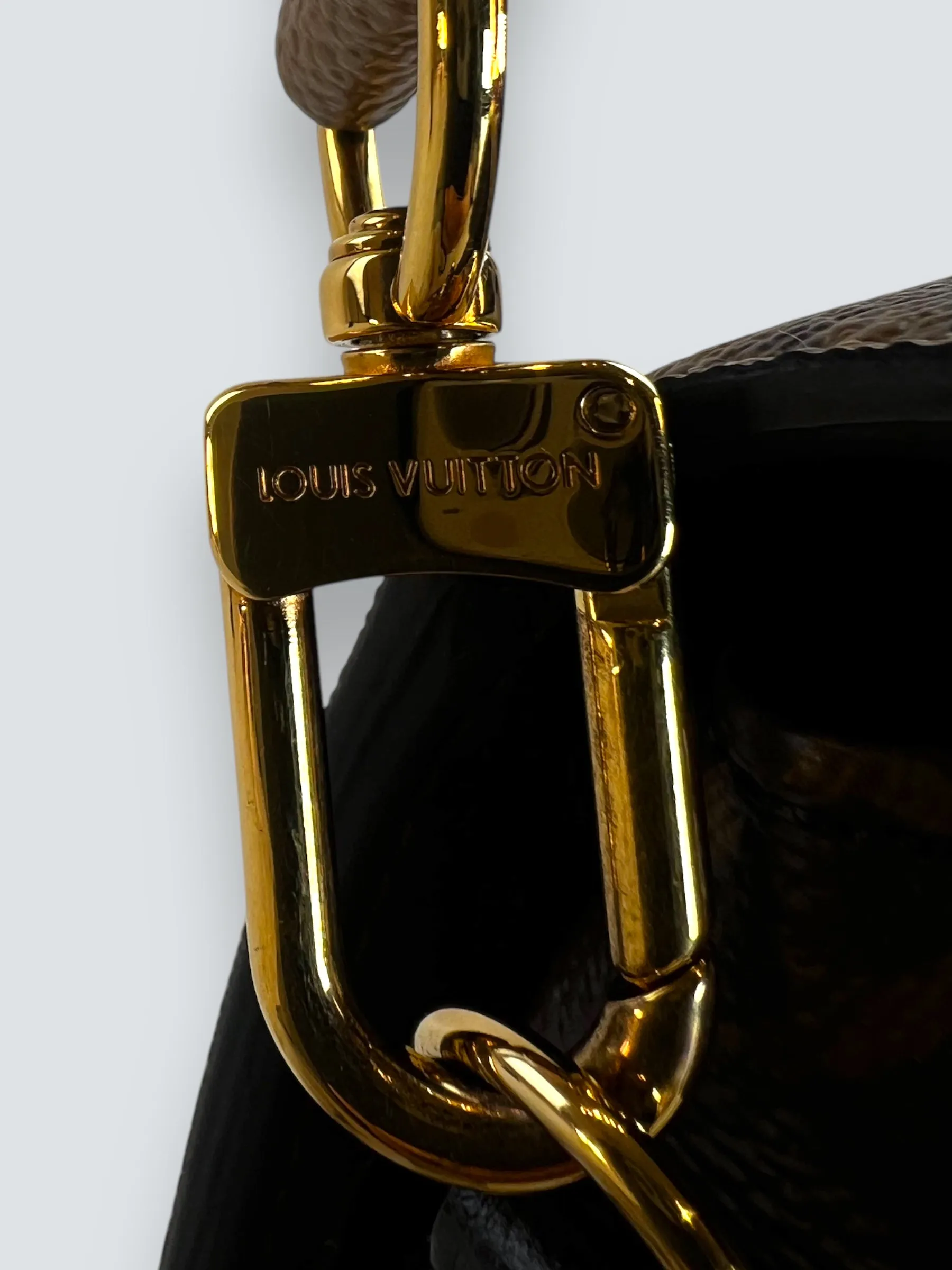 Louis Vuitton Monogram & Reverse Monogram Canvas Pochette Metis