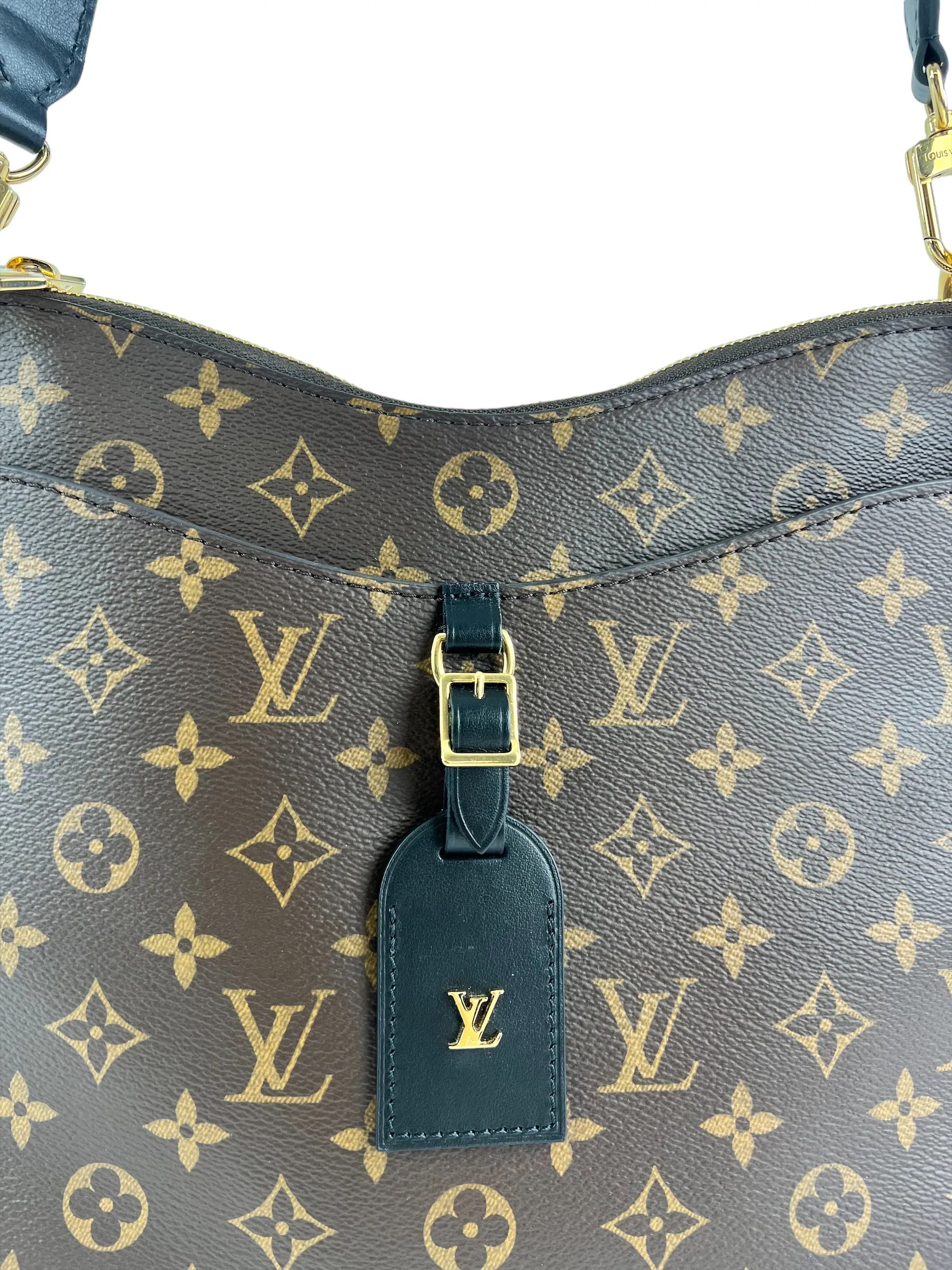 Louis Vuitton Monogram Canvas Odeon MM