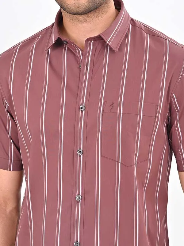 Men Striped Half Sleeve Cotton Blend Shirt